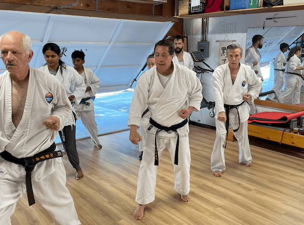 Mountain Karate, Castro Valley students train in the dojo