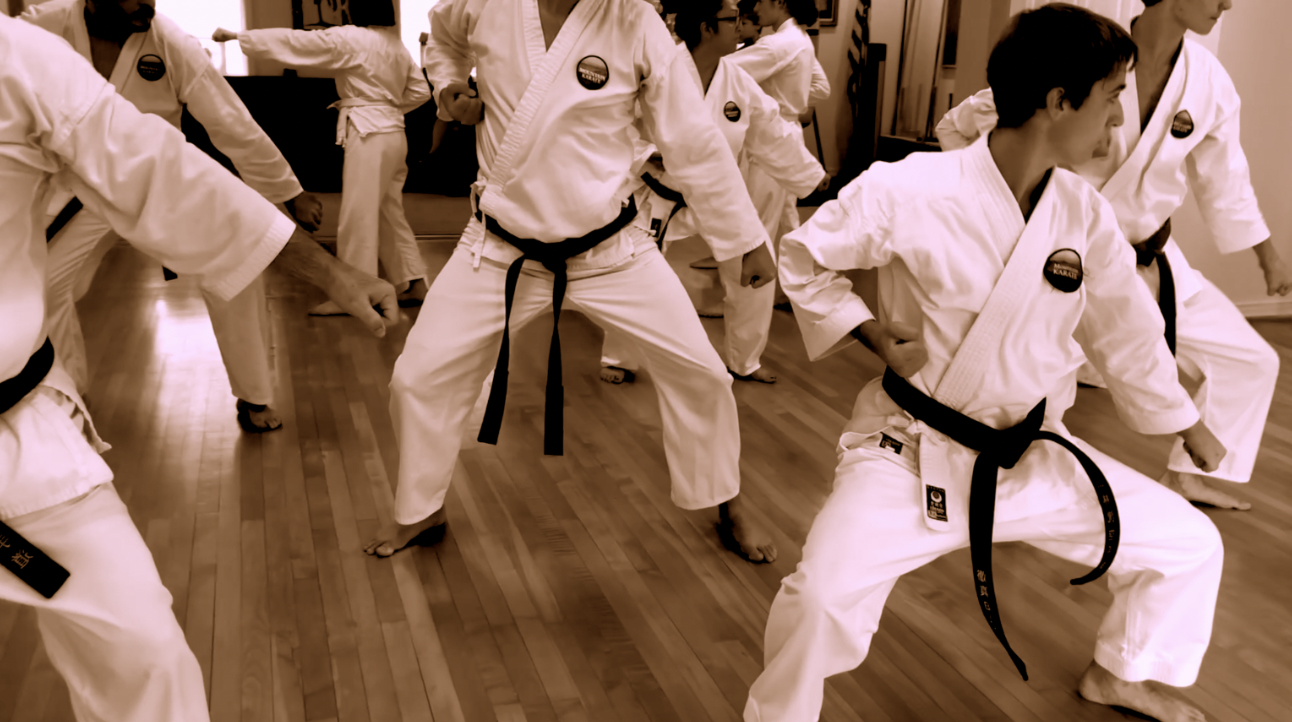 Students training at Mountain Karate (North Carolina)